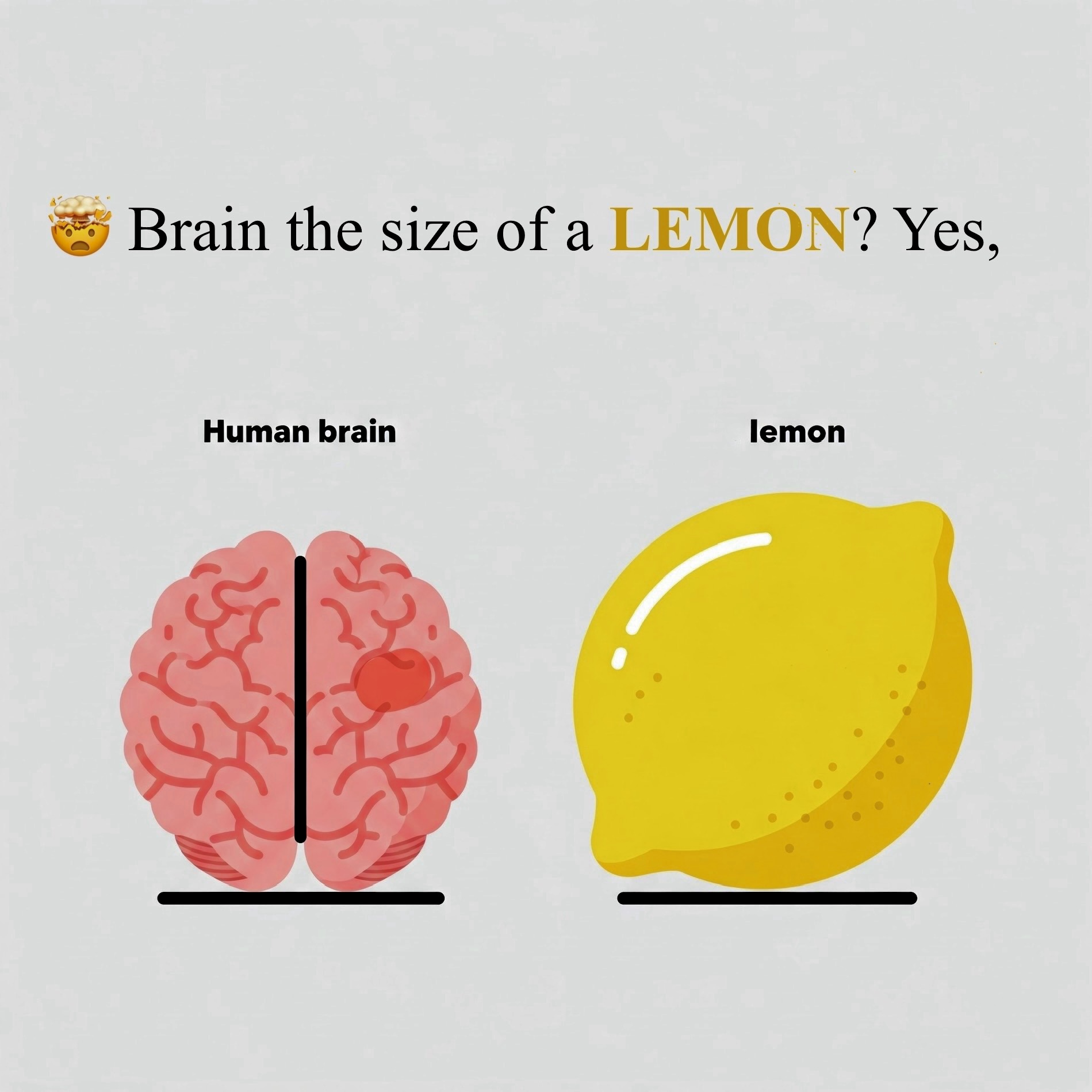 photo of Your Brain-Smaller Than You Think 